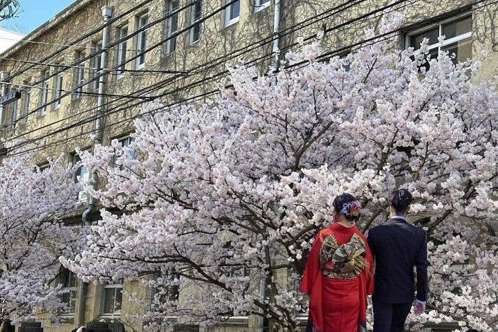 伝統的な着物を着て室内写真を撮影