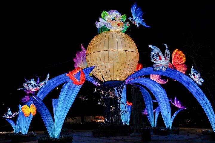 Paquete combinado de Singapore Gardens by the Bay