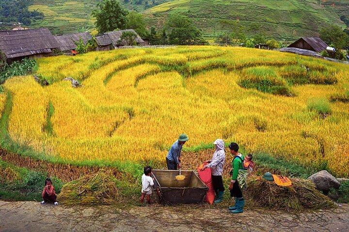 Hanoi til Sapa : 3 - Day Adventure med 2 nætter i Ta Van Village