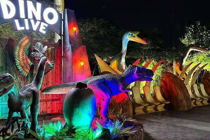 Dubai Garden Glow Tickets with Transport Options