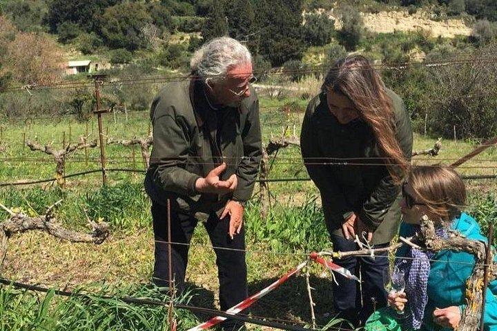 Kefalonia Wine Experience: Sklavos & Haritatos Estates