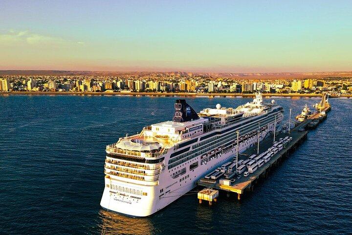 Shore Tours Peninsula Valdes krydstogtskibspassagerer Puerto Madryn