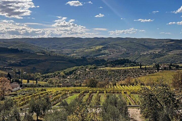 Catas de Vinos de Chianti Classico Orgánico con Almuerzo Incluido