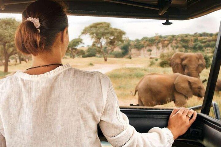 Pilanesberg Nationalpark 6 timers safari fra Sun City