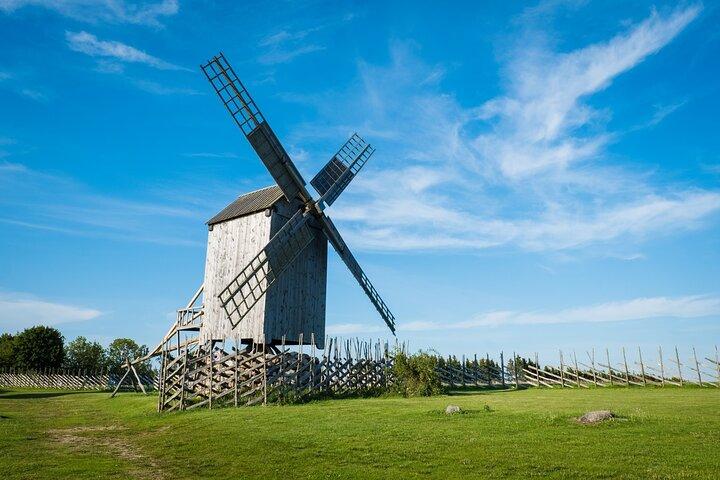 Skip-the-Line privérondleiding door het Estse Openluchtmuseum