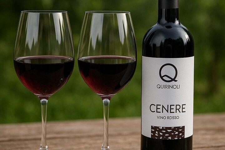 Dégustation de vin supérieure avec déjeuner sur les pentes du Vésuve