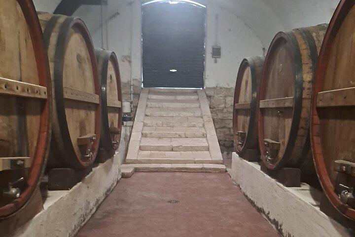 Tour de vinho com degustação de Bari & Trani