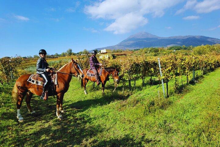 Paseos a caballo por el Vesubio con cata de vinos y cena