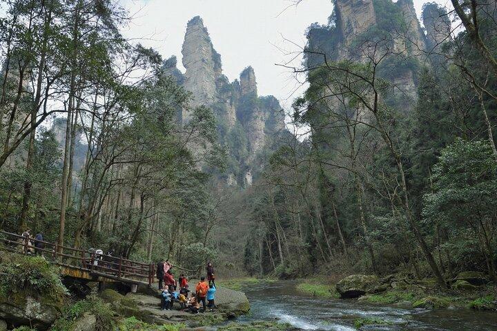 Privat dagstur Zhangjiajie National Forest Park Avatar Mountain