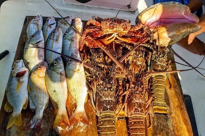 Rifffischen am Strand auskochen