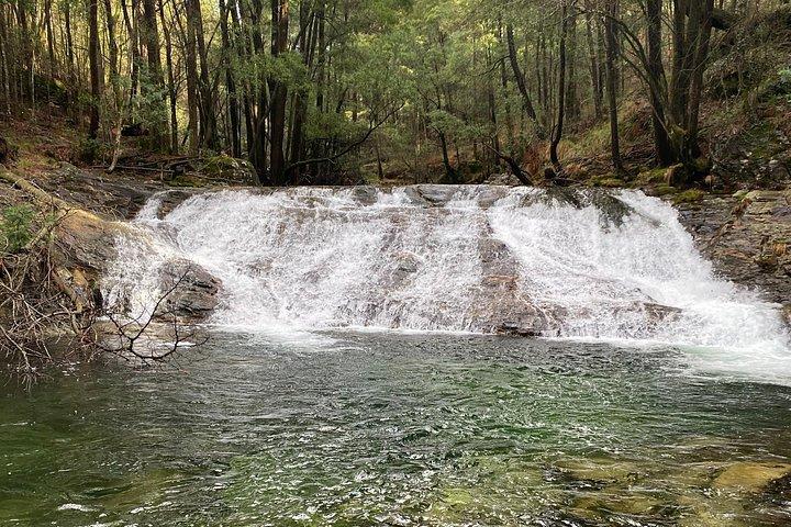Serra D' Arga Tour: Hike, Waterfalls, Cornbread workshop & picnic