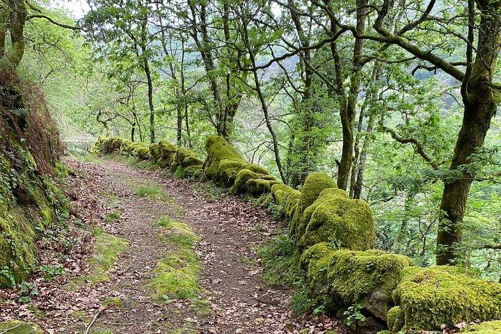 Serra D' Arga Tour: Hike, Waterfalls, Cornbread workshop & picnic