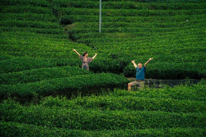 隠れた京都の絶景緑茶畑＆ご当地茶Exp（プライベート）