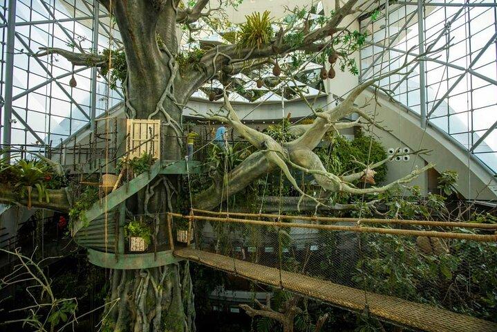 Green Planet Dubai Tickets Special Offer