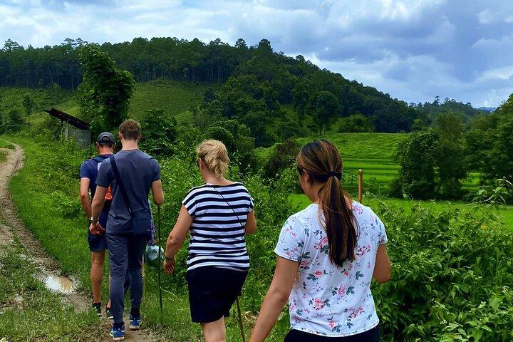 Hoteller i nærheden af Mae Wang Adventure: Jungle Trek, Waterfalls & Village Stay