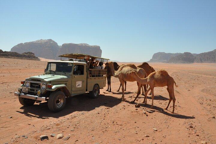 Excursión en jeep de día completo por Wadi Rum y experiencia de almuerzo en familia beduina