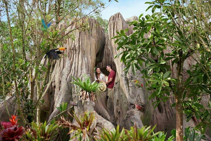 Singapore Bird Paradise Tickets