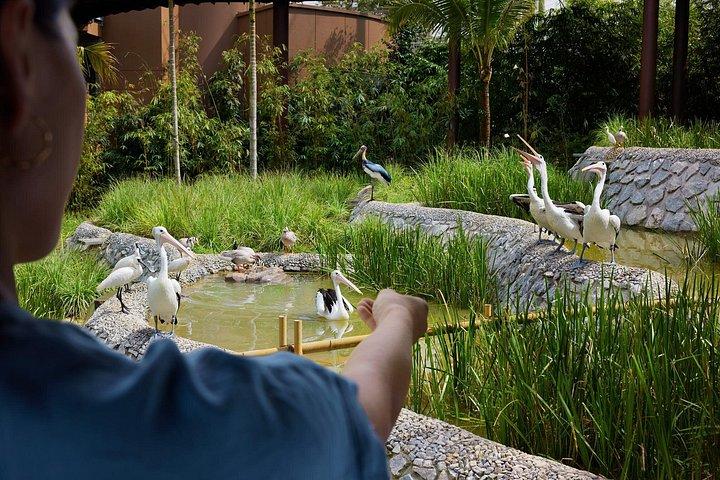 Singapore Bird Paradise Tickets