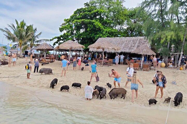 Varkenseiland Sightseeing, snorkelen per catamaran vanuit Koh Samui