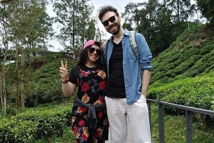 Dagstur til Cameron Highlands fra Ipoh med frokost og Mossy Forest