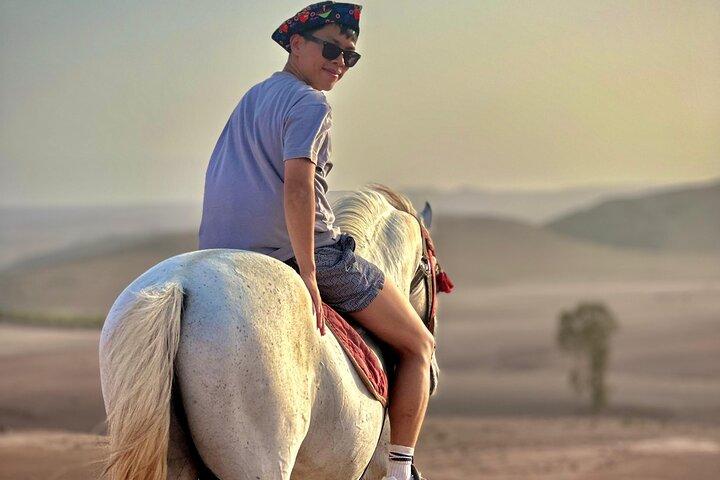 GoRocco Agafay Desert Horse Camel Quad Swim Dinner show