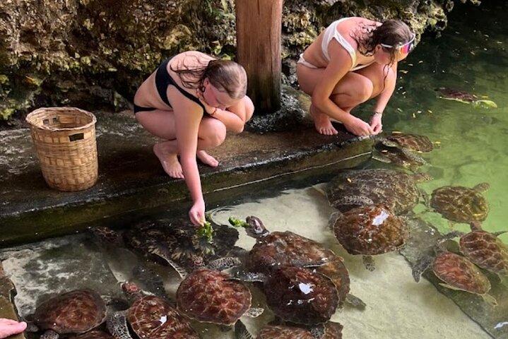 Zwemmen met zeeschildpadden bij The Lagoons Zanzibar