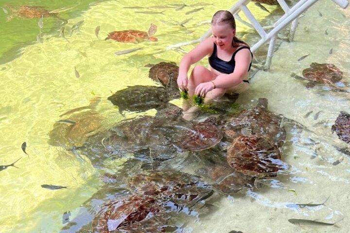 ザ・ラグーンズ・ザンジバルでウミガメと泳ぐ