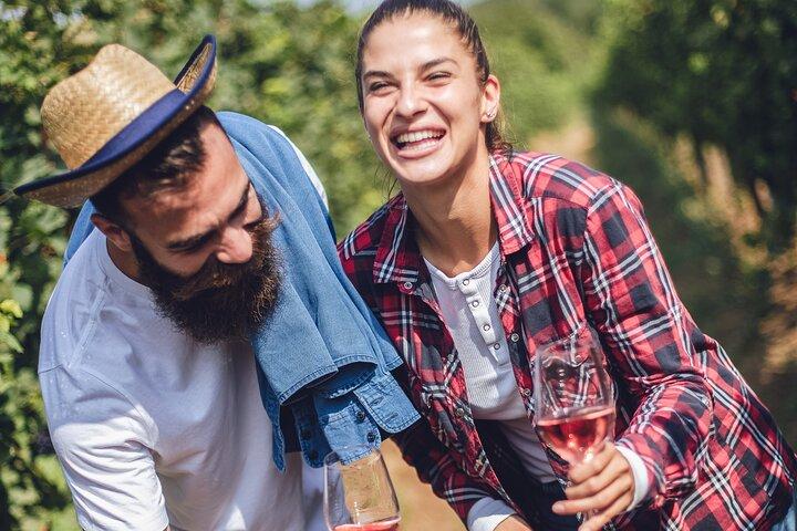 Paseos a caballo por el Vesubio con cata de vinos y cena