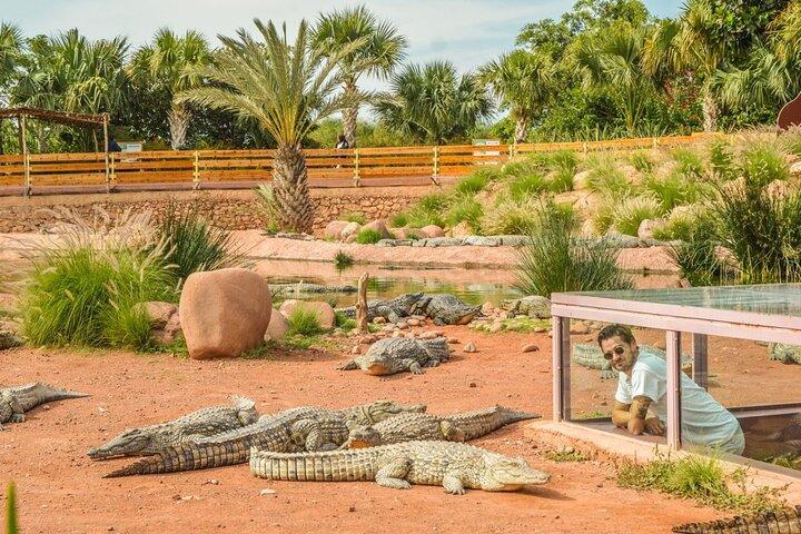 Agadir stadsrundtur & Crocopark besök – en dag full av upptäckter