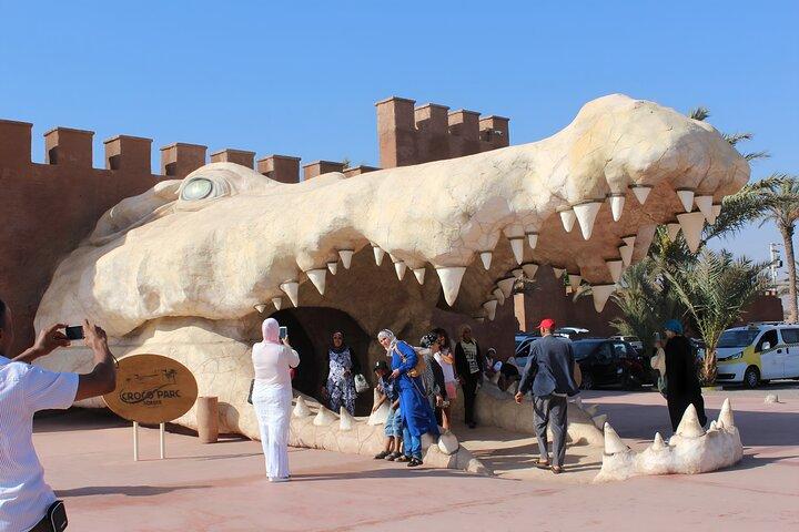 Agadir stadsrundtur & Crocopark besök – en dag full av upptäckter