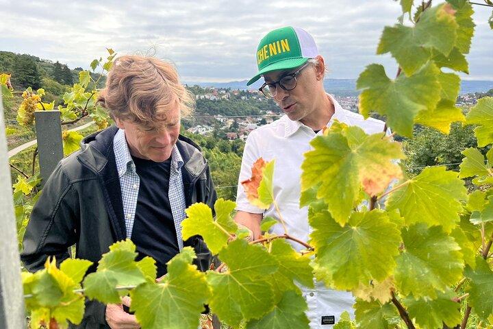 Votre Masterclass Vin Privé avec Int’l Expert Judge