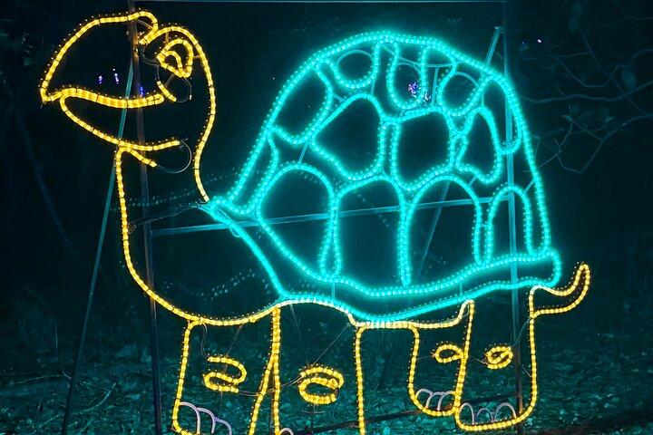 Festival de Luces de Charleston con transporte para grupos pequeños