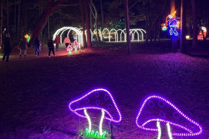 Festival de Luces de Charleston con transporte para grupos pequeños