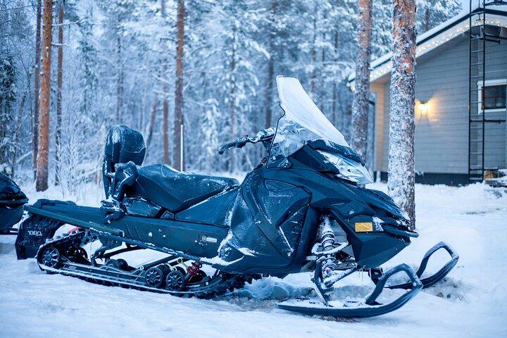 Small Group: Snowmobile Safari from Riverside Lodge 3h
