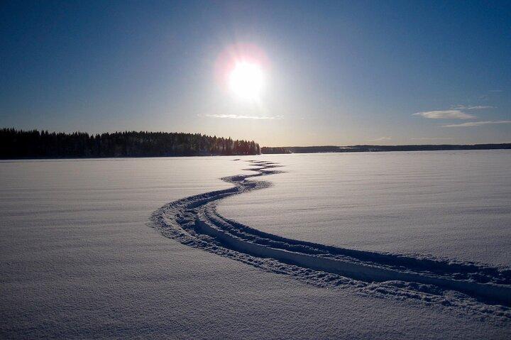 Small Group: Snowmobile Safari from Riverside Lodge 3h