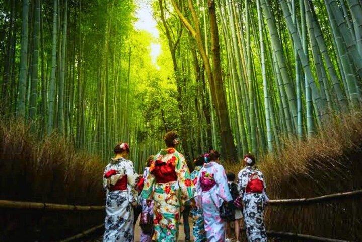 Kiyomizu dera Fushimi Inari und Nara Park Tagestour