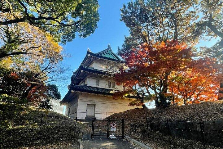 Private Führung durch die Überreste von Edo Castle und East Gardens