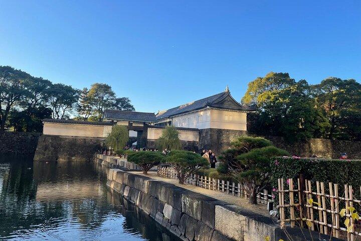Private Führung durch die Überreste von Edo Castle und East Gardens