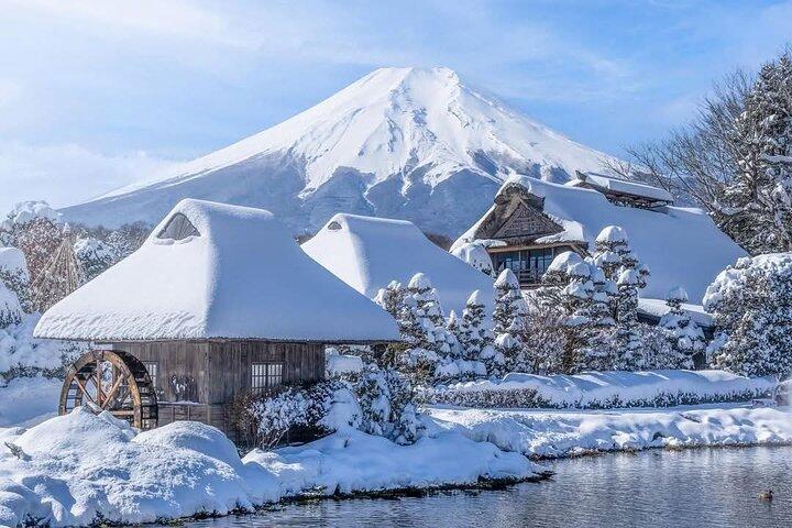 英語ドライバー付き東京発富士山プライベート日帰り旅行