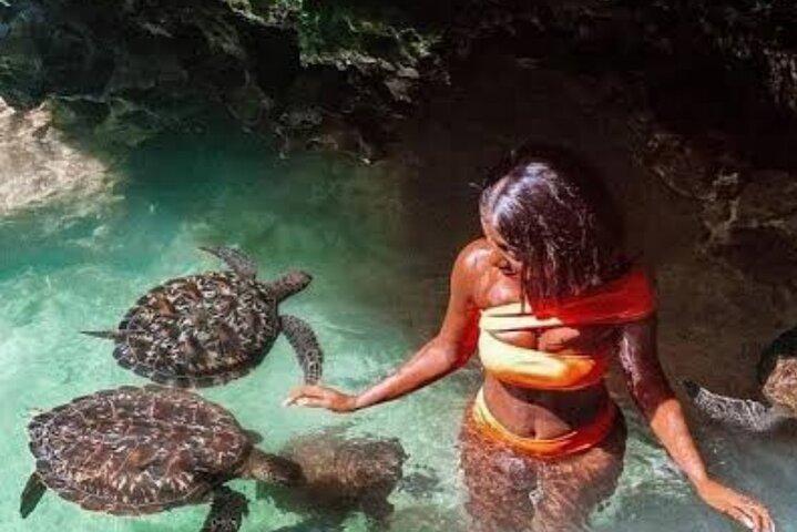 キジムカジのザンジバルサラーム洞窟でウミガメの泳ぎと餌付け