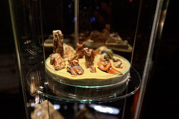 Small-group Rynek Underground Museum Guided Tour in Krakow