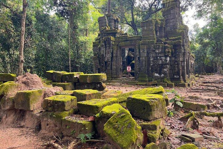 Angkor Wat Sunrise, Bayon, Tempio di Ta Prohm