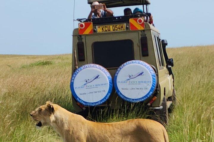 3 dagars Masai Mara Kenya Big Five privat safari