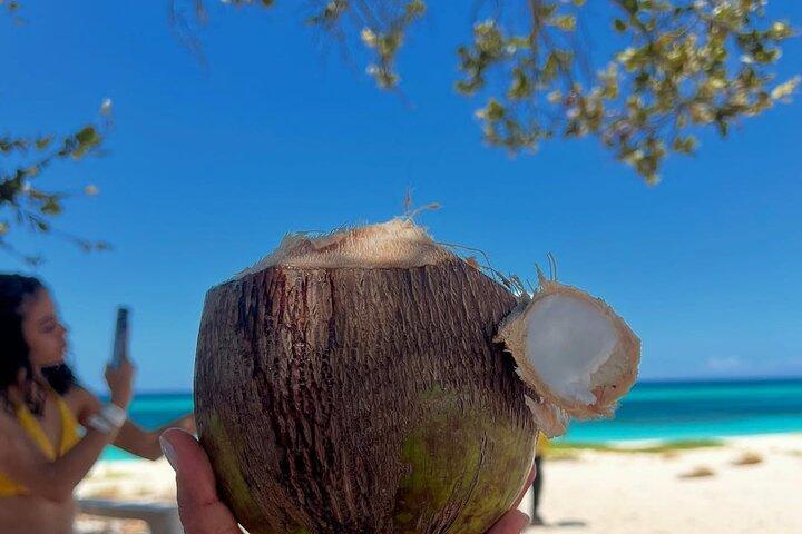 Eagles Bay VIP: Hele dag naar het paradijs vanuit Santo Domingo