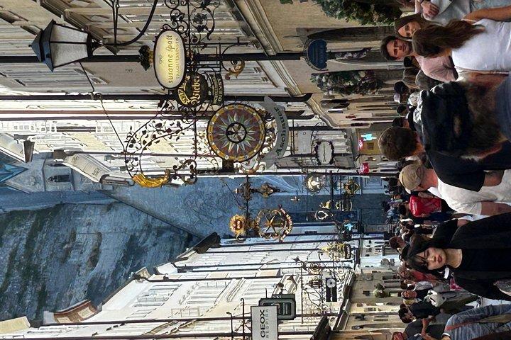 ザルツブルクの旧市街を巡るプライベート ウォーキング ツアー