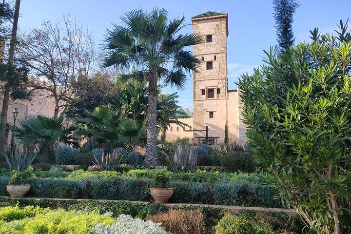 Rabat Tuk-Tuk Økoture