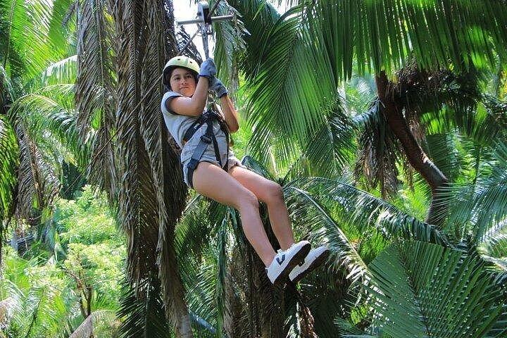 Feel the adrenaline and launch the 11-line zip line