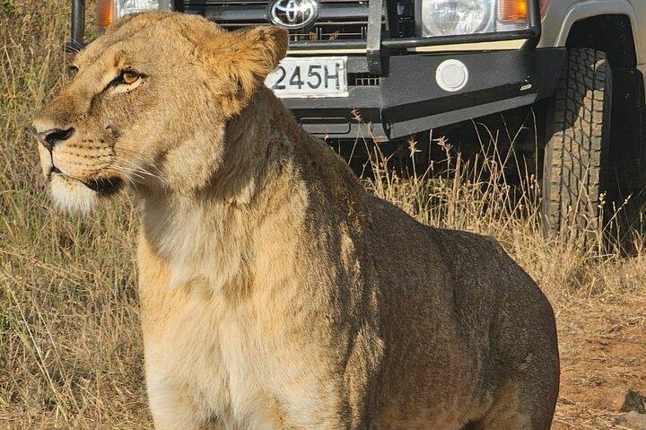 Explore Nairobi National Park with Transportation