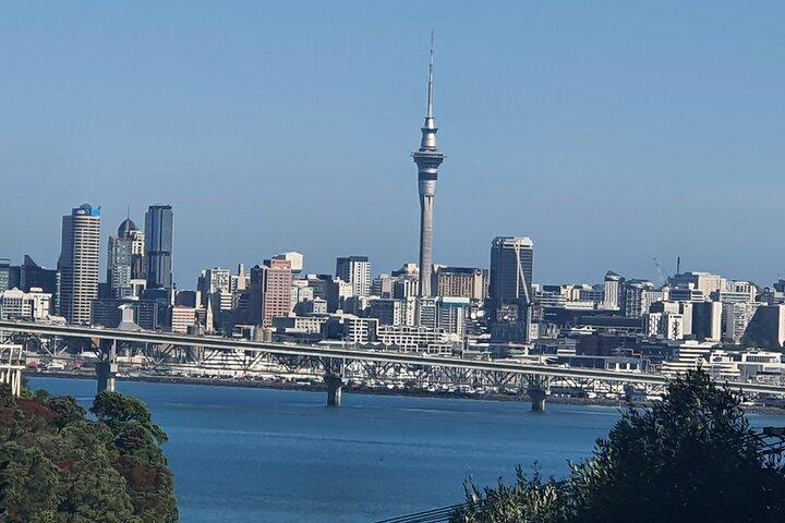 Transfert privé aller simple de l'aéroport d'Auckland : Hôtels de l'aéroport au CBD