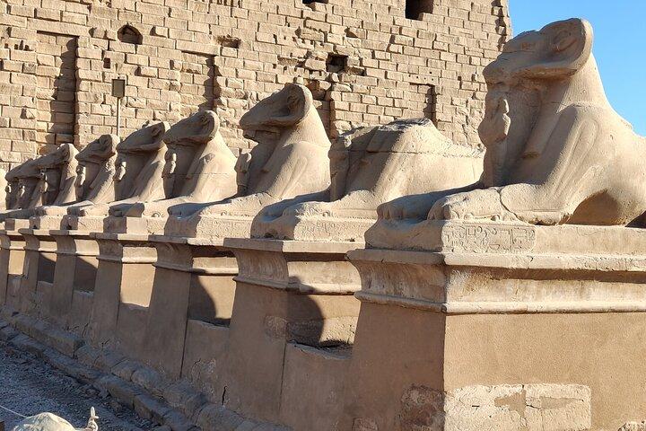 Luxor Valley of the Kings and Tutankhamun Tomb Tour de ônibus